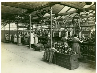 Winding Department, Long Meadow Mill, 1923
